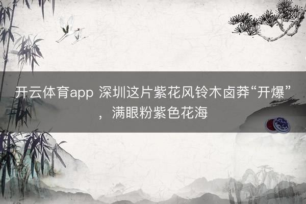开云体育app 深圳这片紫花风铃木卤莽“开爆”，满眼粉紫色花海